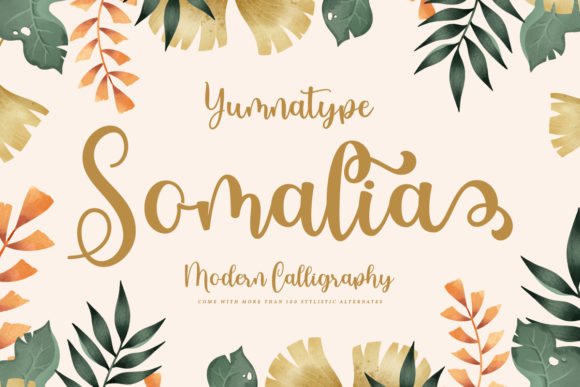 Font Somalia: A Script Font for Modern Web Design