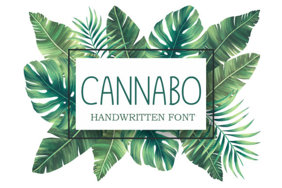 How Cannabo Helped My Bakery Look More Professional